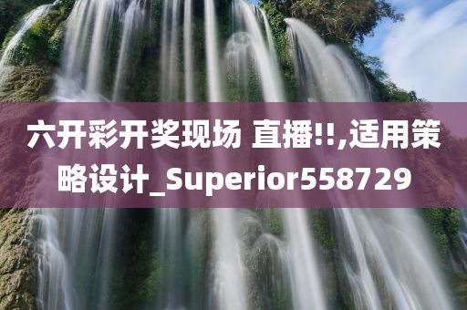 六开彩开奖现场 直播!!,适用策略设计_Superior558729