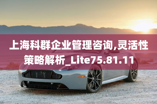 上海科群企业管理咨询,灵活性策略解析_Lite75.81.11