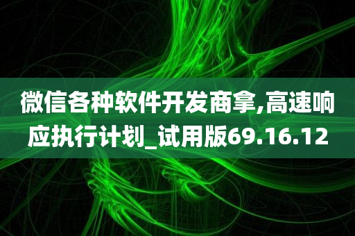 微信各种软件开发商拿,高速响应执行计划_试用版69.16.12