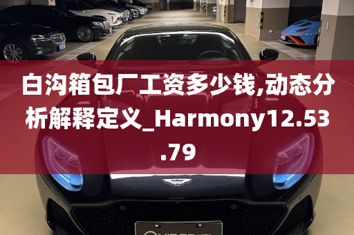 白沟箱包厂工资多少钱,动态分析解释定义_Harmony12.53.79