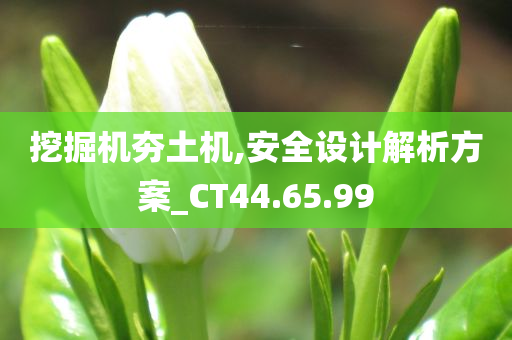 挖掘机夯土机,安全设计解析方案_CT44.65.99