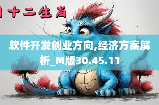 软件开发创业方向,经济方案解析_M版30.45.11