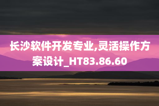 长沙软件开发专业,灵活操作方案设计_HT83.86.60