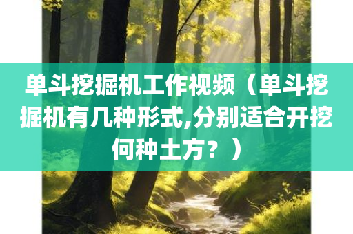 单斗挖掘机工作视频（单斗挖掘机有几种形式,分别适合开挖何种土方？）