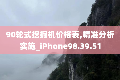 90轮式挖掘机价格表,精准分析实施_iPhone98.39.51