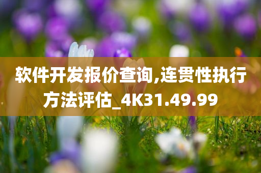 软件开发报价查询,连贯性执行方法评估_4K31.49.99