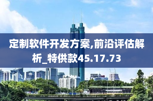 定制软件开发方案,前沿评估解析_特供款45.17.73