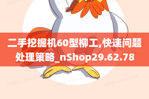 二手挖掘机60型柳工,快速问题处理策略_nShop29.62.78