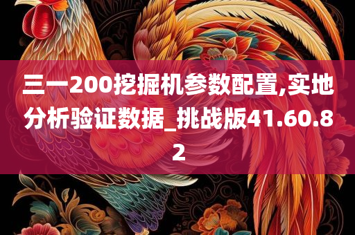 三一200挖掘机参数配置,实地分析验证数据_挑战版41.60.82