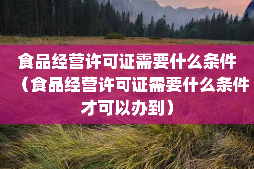 食品经营许可证需要什么条件（食品经营许可证需要什么条件才可以办到）