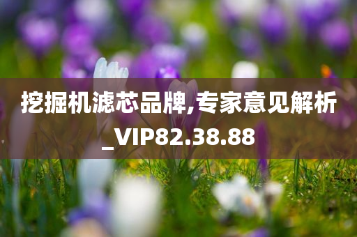 挖掘机滤芯品牌,专家意见解析_VIP82.38.88