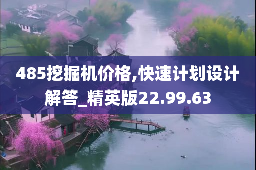 485挖掘机价格,快速计划设计解答_精英版22.99.63