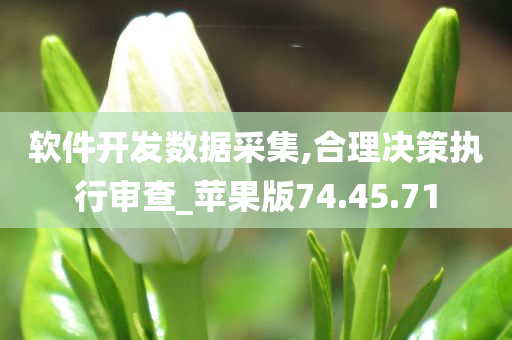 软件开发数据采集,合理决策执行审查_苹果版74.45.71