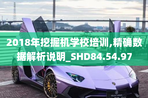 2018年挖掘机学校培训,精确数据解析说明_SHD84.54.97