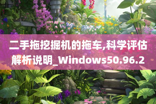 二手拖挖掘机的拖车,科学评估解析说明_Windows50.96.20