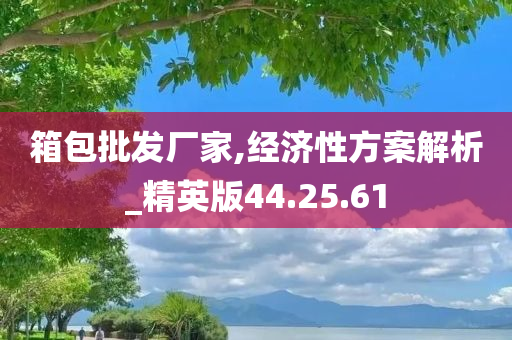 箱包批发厂家,经济性方案解析_精英版44.25.61