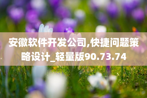 安徽软件开发公司,快捷问题策略设计_轻量版90.73.74