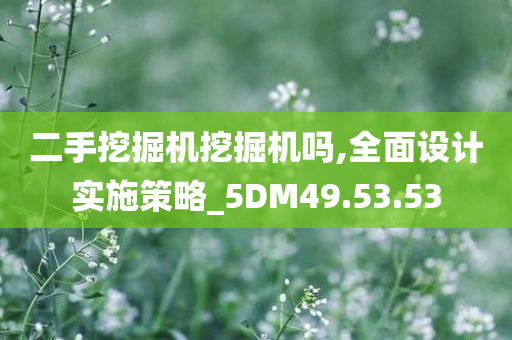 二手挖掘机挖掘机吗,全面设计实施策略_5DM49.53.53