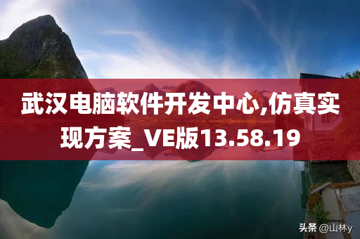 武汉电脑软件开发中心,仿真实现方案_VE版13.58.19