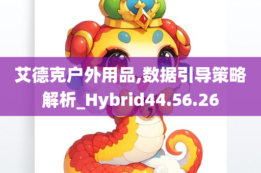 艾德克户外用品,数据引导策略解析_Hybrid44.56.26