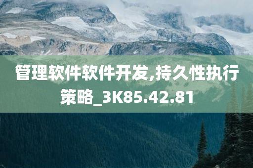 管理软件软件开发,持久性执行策略_3K85.42.81