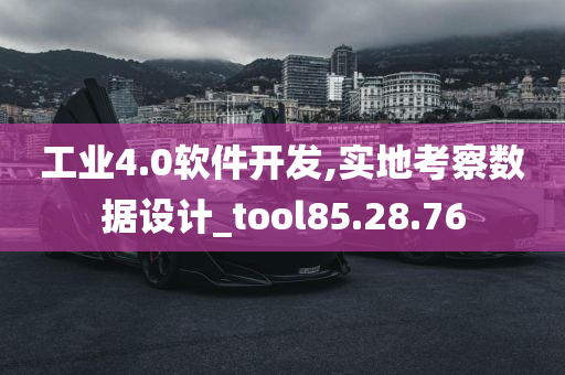 工业4.0软件开发,实地考察数据设计_tool85.28.76