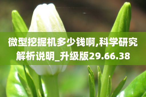 微型挖掘机多少钱啊,科学研究解析说明_升级版29.66.38