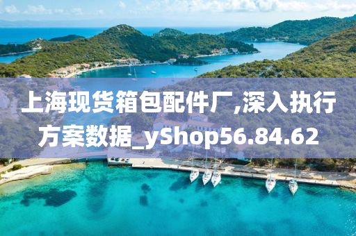 上海现货箱包配件厂,深入执行方案数据_yShop56.84.62