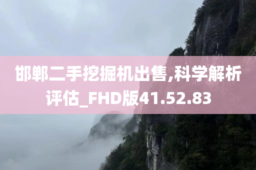 邯郸二手挖掘机出售,科学解析评估_FHD版41.52.83