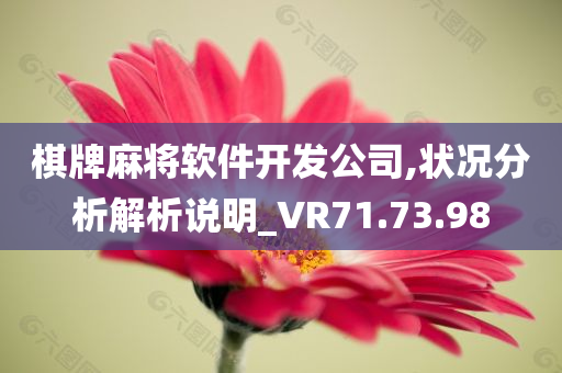 棋牌麻将软件开发公司,状况分析解析说明_VR71.73.98