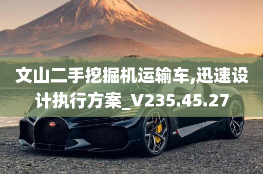 文山二手挖掘机运输车,迅速设计执行方案_V235.45.27