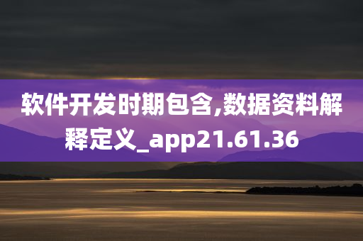 软件开发时期包含,数据资料解释定义_app21.61.36