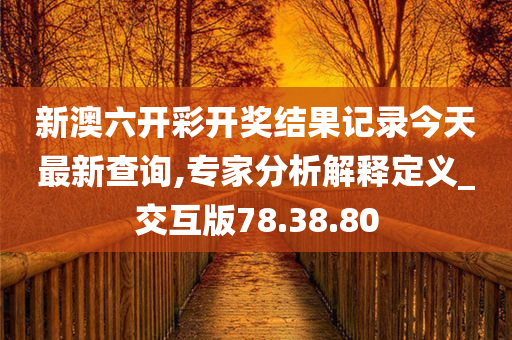 新澳六开彩开奖结果记录今天最新查询,专家分析解释定义_交互版78.38.80