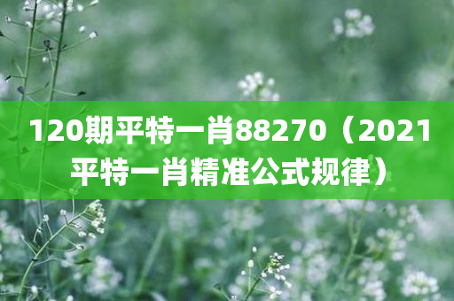 120期平特一肖88270（2021平特一肖精准公式规律）