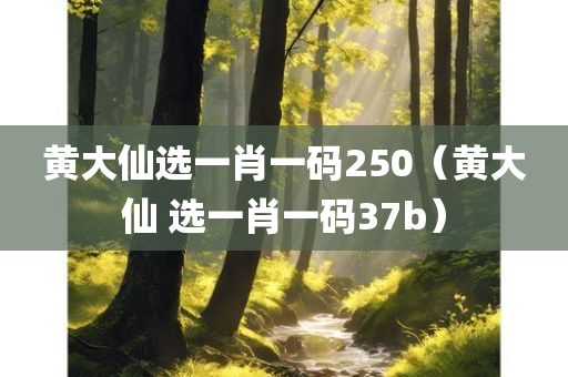 黄大仙选一肖一码250（黄大仙 选一肖一码37b）