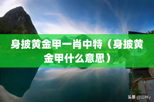 身披黄金甲一肖中特（身披黄金甲什么意思）