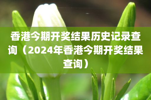 香港今期开奖结果历史记录查询（2024年香港今期开奖结果查询）