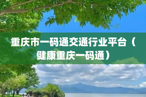 重庆市一码通交通行业平台（健康重庆一码通）