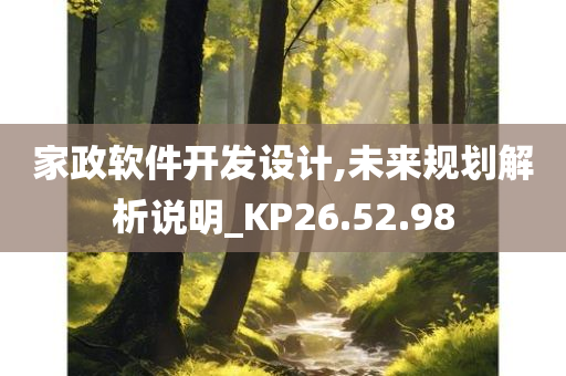 家政软件开发设计,未来规划解析说明_KP26.52.98