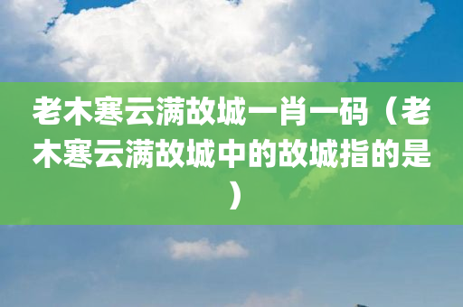 老木寒云满故城一肖一码（老木寒云满故城中的故城指的是）